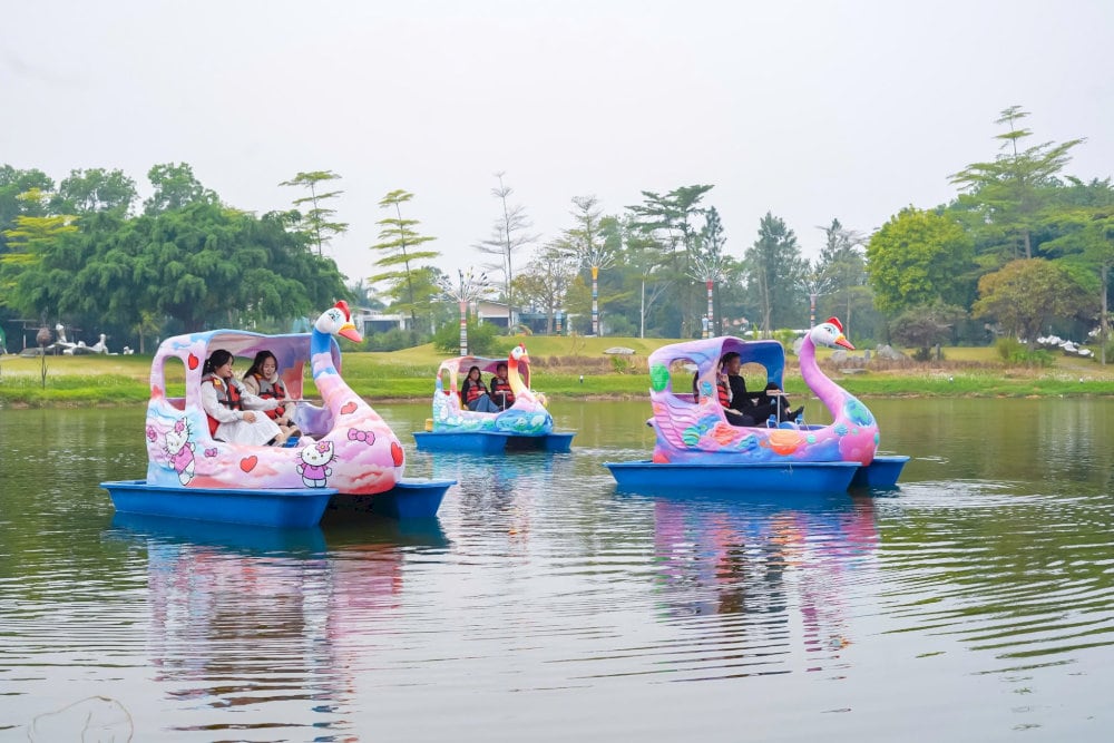 Trải nghiệm đạp vịt trên hồ Đại Lải